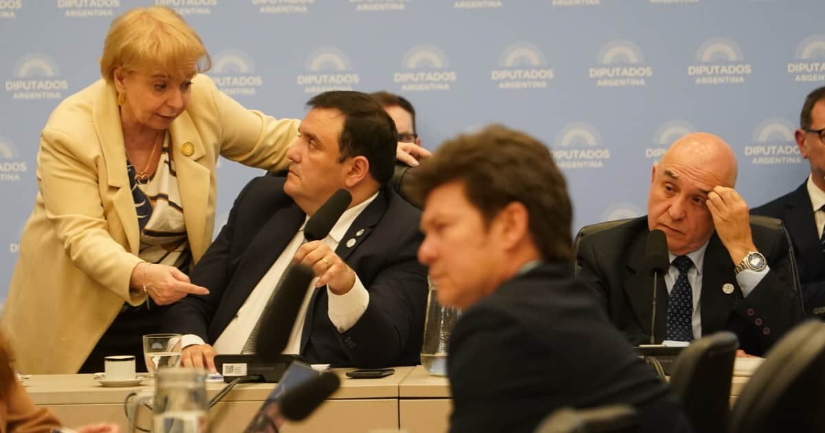 Emergencia en Discapacidad: funcionarios defendieron la gestión y el oficialismo prometió un proyecto superador