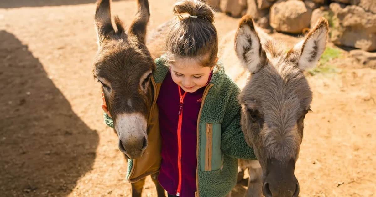 “Queríamos que nuestros hijos crecieran jugando en la naturaleza, llenos de tierra y cuidando de los animales”: la vida de las familias que eligen la crianza en el campo