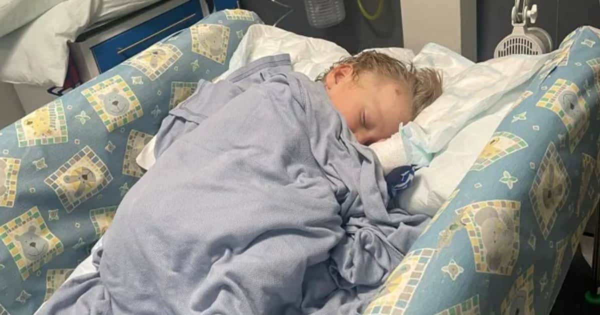 Un perro atacó a su hijo de 4 años y luchó para salvarlo mientras sostenía a su bebé en brazos: "Lo mordió en la cabeza"
