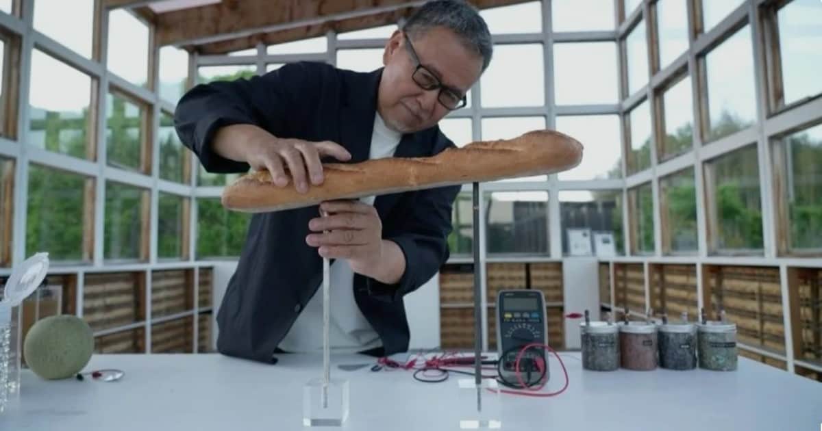 Un inventor japonés obtiene energía eléctrica con vino, tierra y pan francés