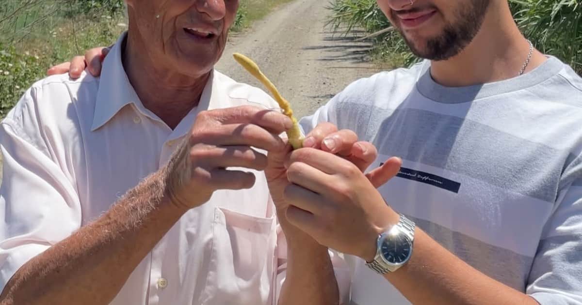 Manuel Bonilla, agricultor de 82 años: “La juventud no quiere trabajar en el campo porque es muy duro, pero no se puede perder la tradición”