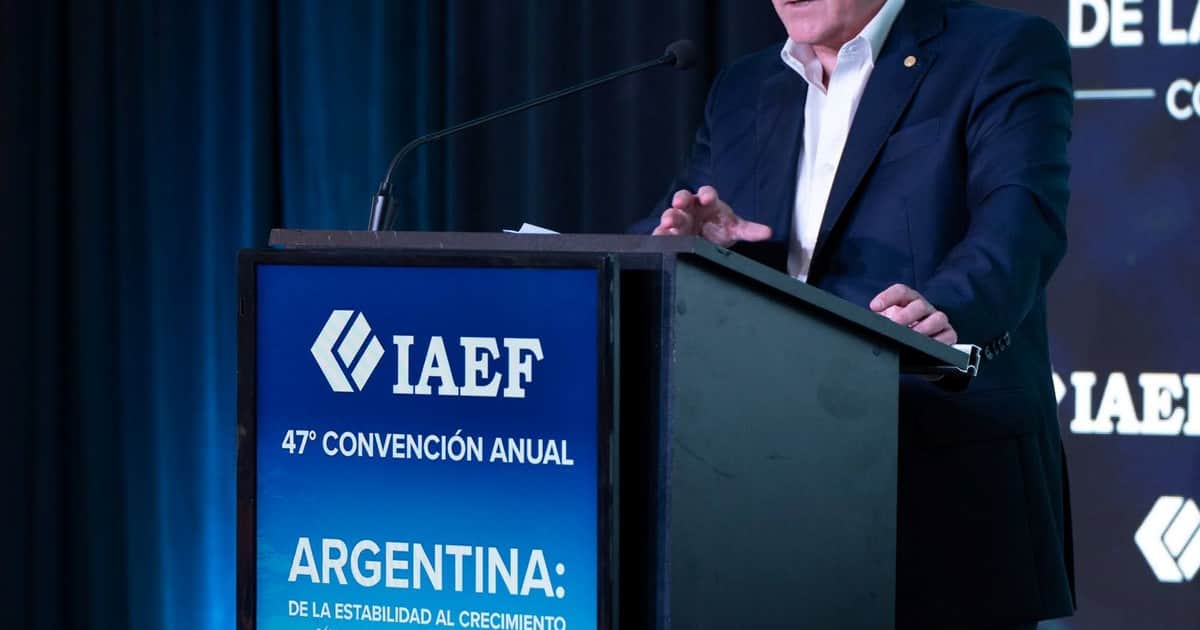Los dólares que vienen: para el BCRA, aún falta que empresas y provincias ingresen al mercado US$ 4.400 millones