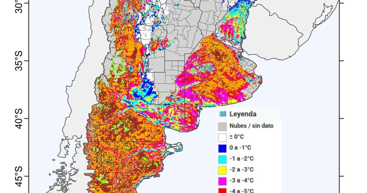 Heladas históricas en la zona núcleo: qué pasará con los cultivos de maíz que se sembraron anticipadamente