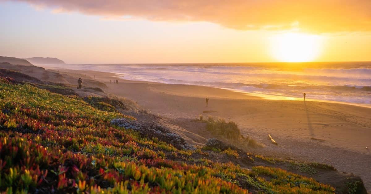 Buscan voluntarios para vivir gratis en California por cuatro meses: ofrecen alojamiento y solo 30 horas de trabajo por semana