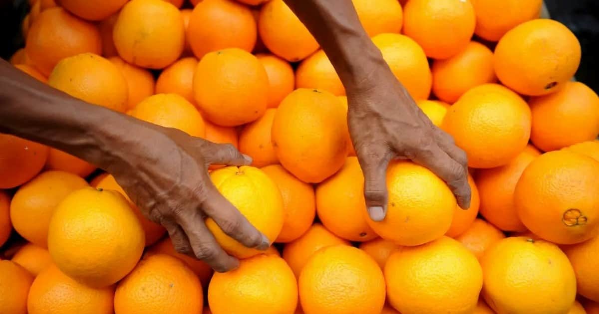Triple crisis en naranja y mandarina: productores que no cubren los costos, industrias que no absorben el excedente y una exportación que perdió mercados