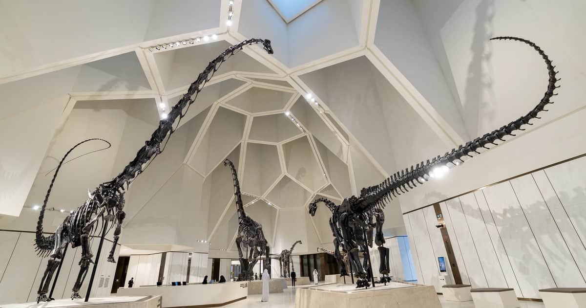 De los fósiles de Dorset a los dinosaurios de China: cómo la prehistoria se convirtió en un negocio