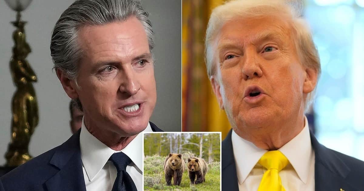 Gavin Newsom contra Trump: California y 20 estados demandan al gobierno federal por desmantelar la Ley de Especies en Peligro de Extinción