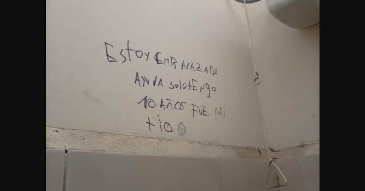 "Estoy embarazada, fue mi tío", la pintada en el baño de un colegio de San Juan que activó las alarmas por un posible abuso a una nena de 10 años