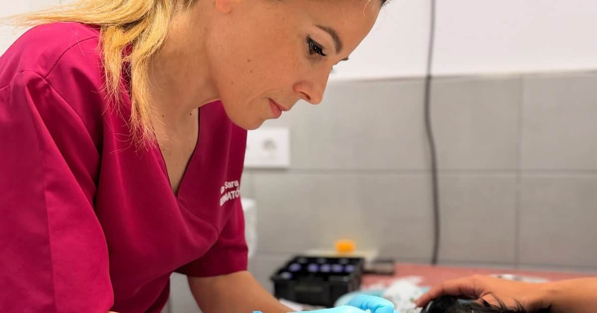 Sara Peña, veterinaria especialista dermatología canina: “Si un perro se rasca mucho, no debemos pensar que es solo por el cambio de tiempo”