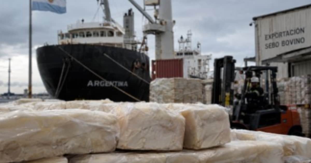 “Un volumen inimaginable”: un subproducto de la carne se convirtió en la nueva estrella del sector y multiplicó sus exportaciones por 20 en la última década