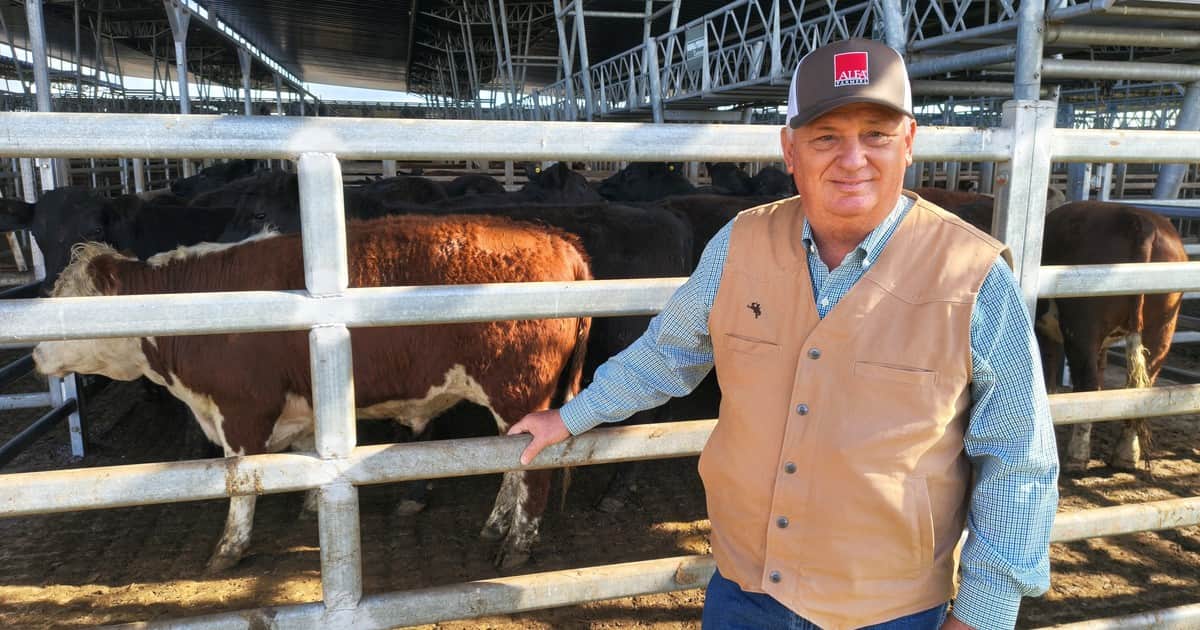 Desde el mercado de Cañuelas, ganaderos estadounidenses explican por qué tienen el menor stock en 75 años