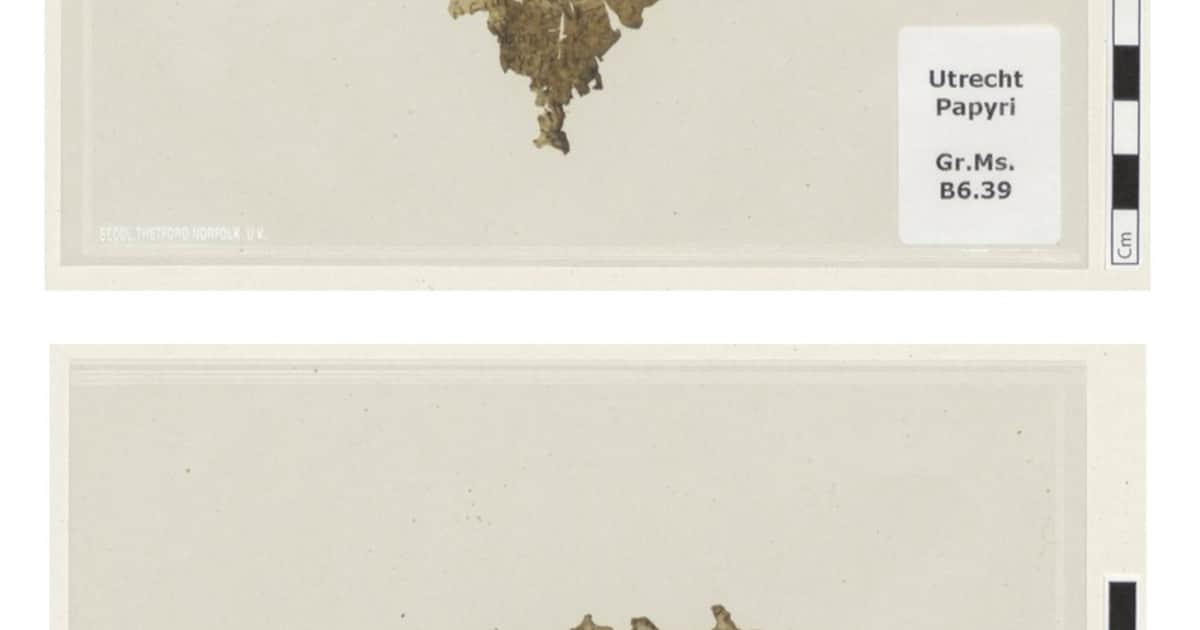 Descubren en Países Bajos un pequeño fragmento de "La Odisea" de hace 1.700 años
