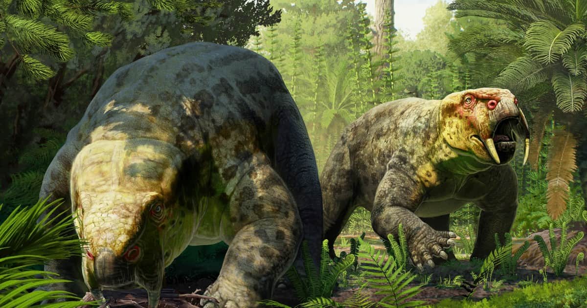 Descubren una nueva especie de animal prehistórico que vivió hace 240 millones de años
