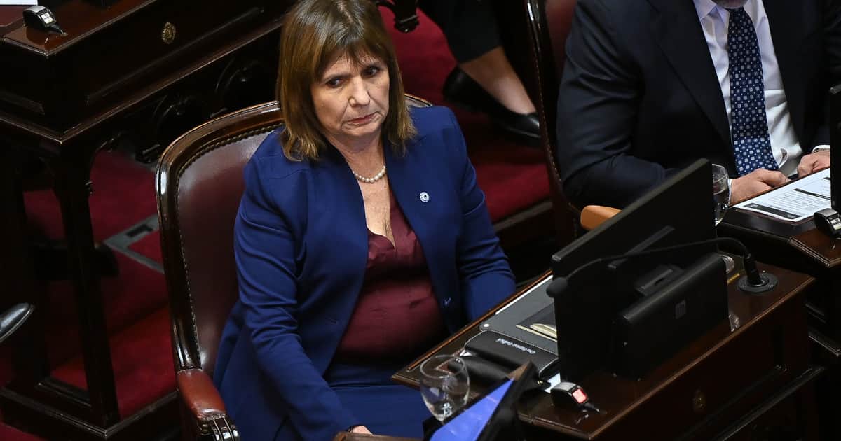 Imagen más alta que la de Milei, agenda propia y diferencias políticas: Patricia Bullrich intenta blindar a su electorado