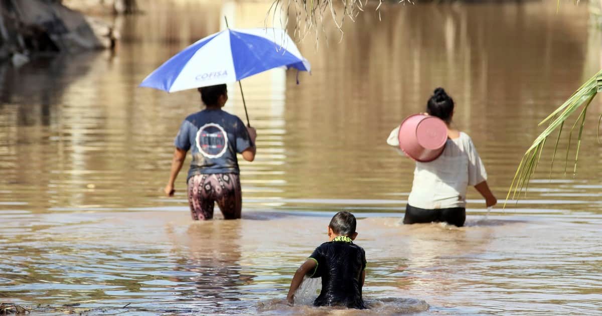 Súper Niño 2026 en Argentina, EN VIVO: dónde habrá más lluvias y la advertencia que hizo un experto