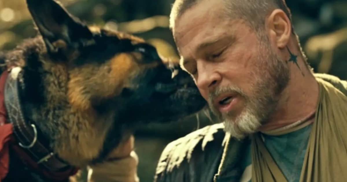 Brad Pitt y su perro son dos almas heridas en El corazón de la bestia