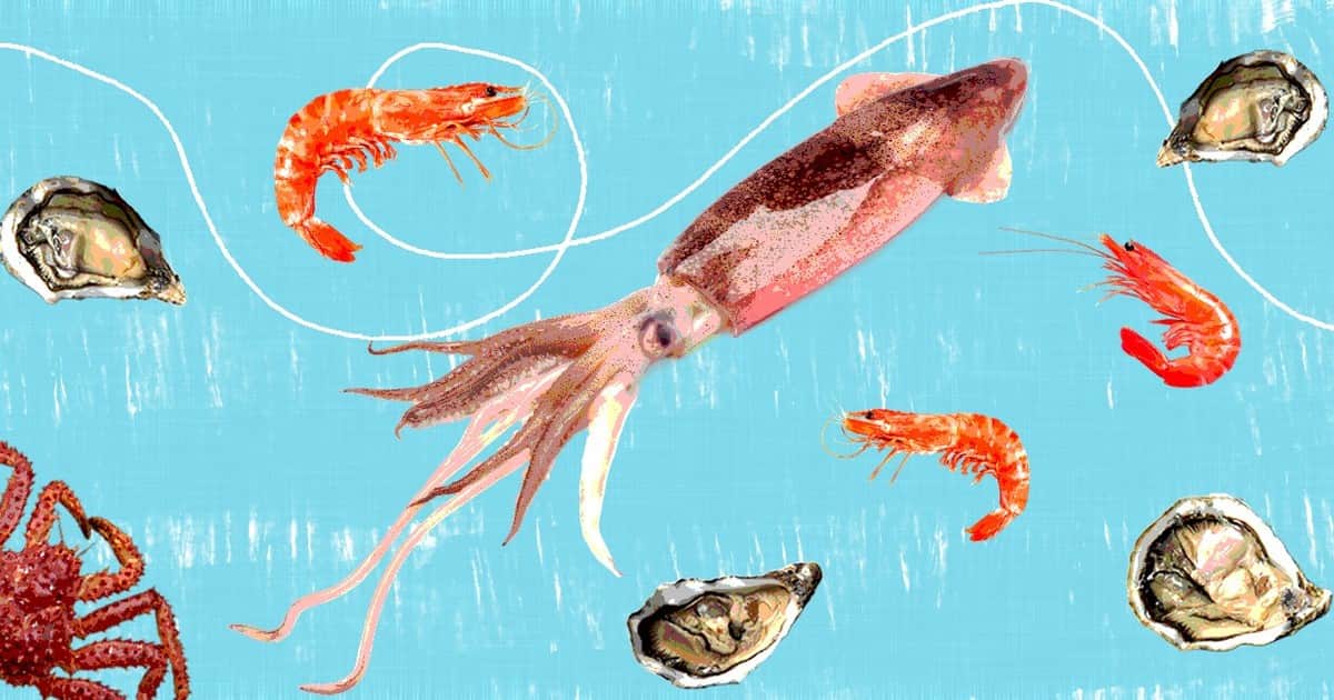 Omega-3, minerales y vitaminas: el valor nutricional oculto de un alimento que en Argentina consumimos muy poco