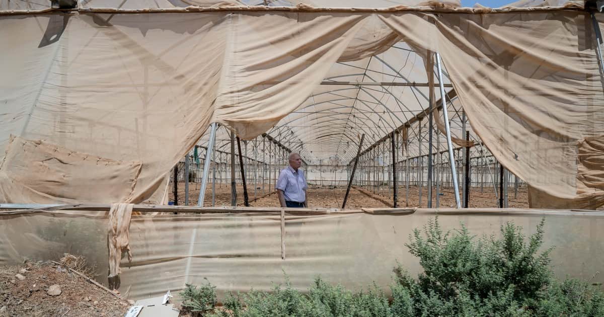 "La Piscina de Herodes" está agotando las tierras palestinas