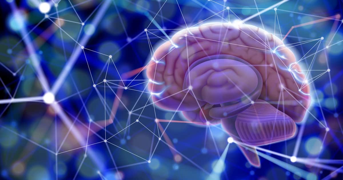 Fabricio Ballarini, neurocientífico, y Juan Bonnin, lingüista: “Nuestra generación tiene el desafío de volver a valorar el conocimiento, la memoria y la sabiduría, y no delegar todo nuestro esfuerzo cognitivo en los dispositivos”
