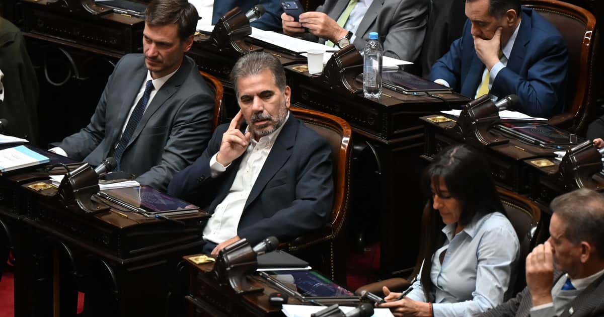 "El gobierno se equivocó": fuerte crítica del PRO a la gestión de Milei sobre el tema discapacidad