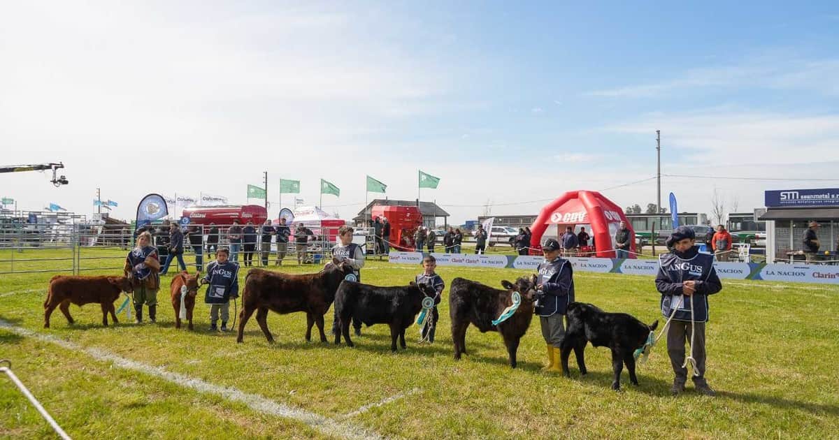 Espacio de aprendizaje y participación activa: se realizó la tradicional Jura Angus Junior