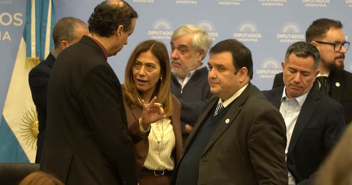 Tras la marcha atrás del Gobierno, el oficialismo consiguió el dictamen de Discapacidad y avanza la ley pese a la desconfianza de la oposición