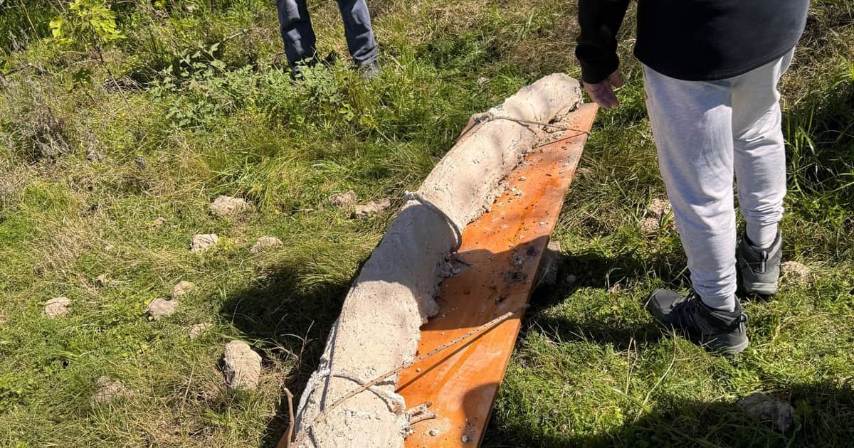 Hallaron en San Pedro el colmillo de mastodonte más grande de Sudamérica