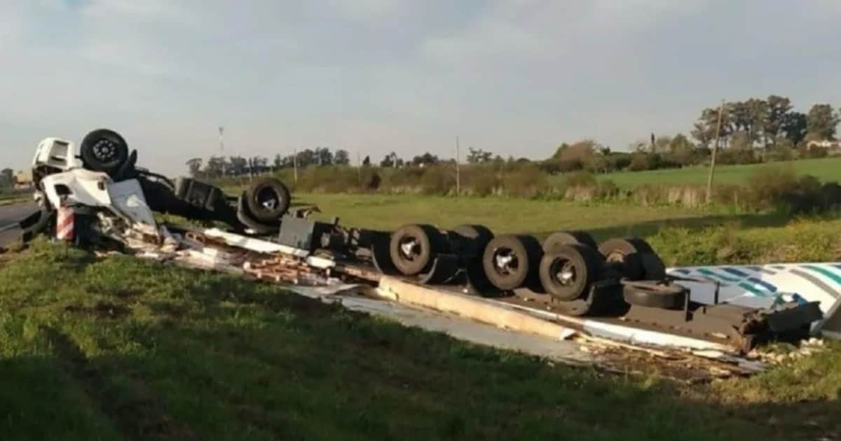 Transportaba pollo congelado, volcó y quedó atrapado dentro del camión: decenas de vecinos saquearon el cargamento, sin prestar ayuda