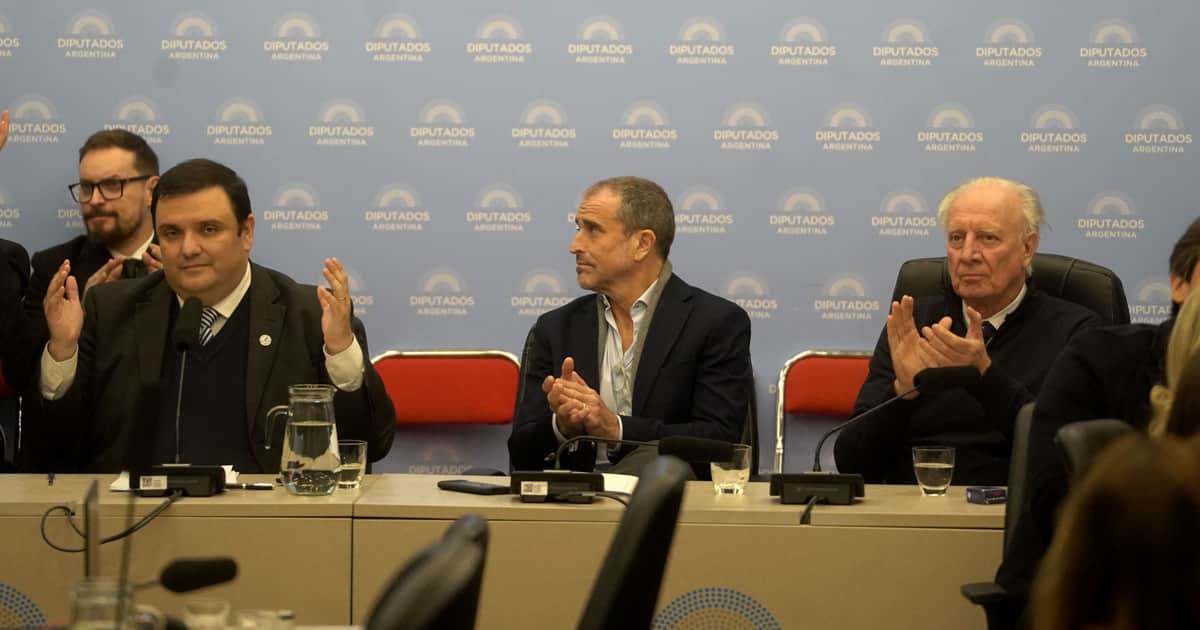 Otro cortocircuito por Discapacidad: los aliados piden precisiones sobre el financiamiento y amenazan con restar votos