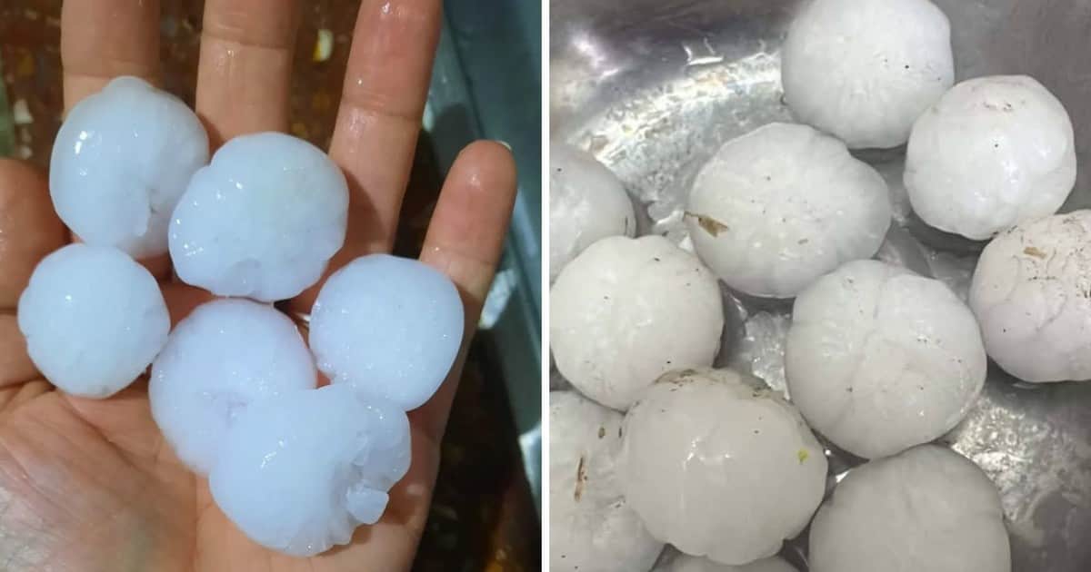 Impactante caída de granizo en la ciudad de Navarro: hay alerta amarilla por tormentas en la Ciudad de Buenos Aires
