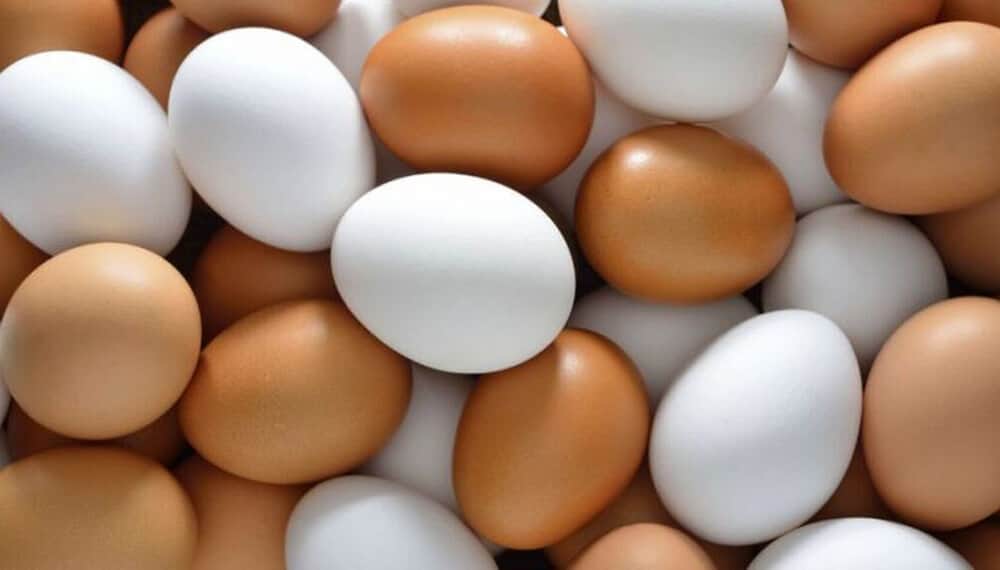 Semana del Huevo: Argentina también celebra un gran crecimiento exportador