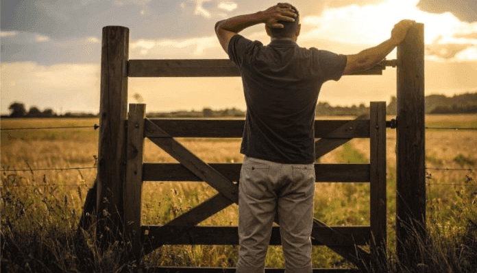 Cautela en el presente, confianza en el futuro: las expectativas de inversión aumentan en el agro