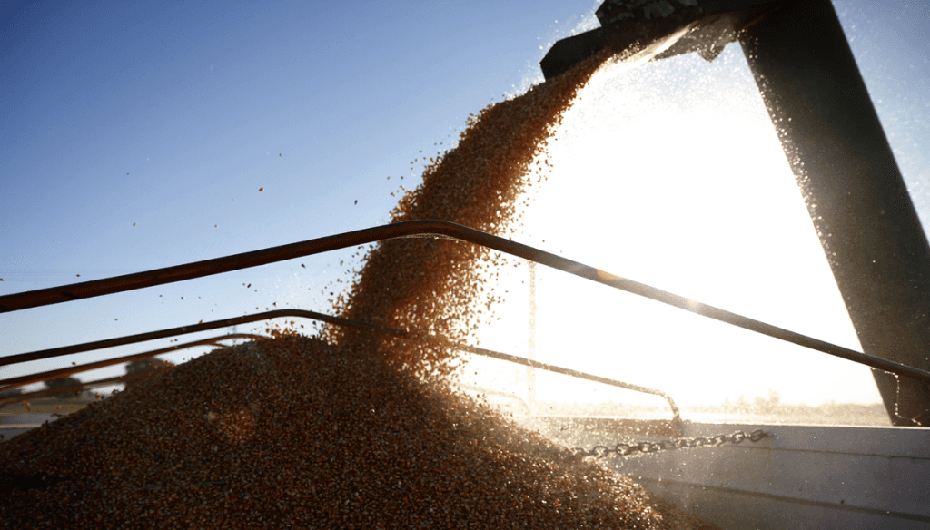 Si El Niño acompaña, el agro podría aportar un récord exportador de US$ 42.200 millones en 2027