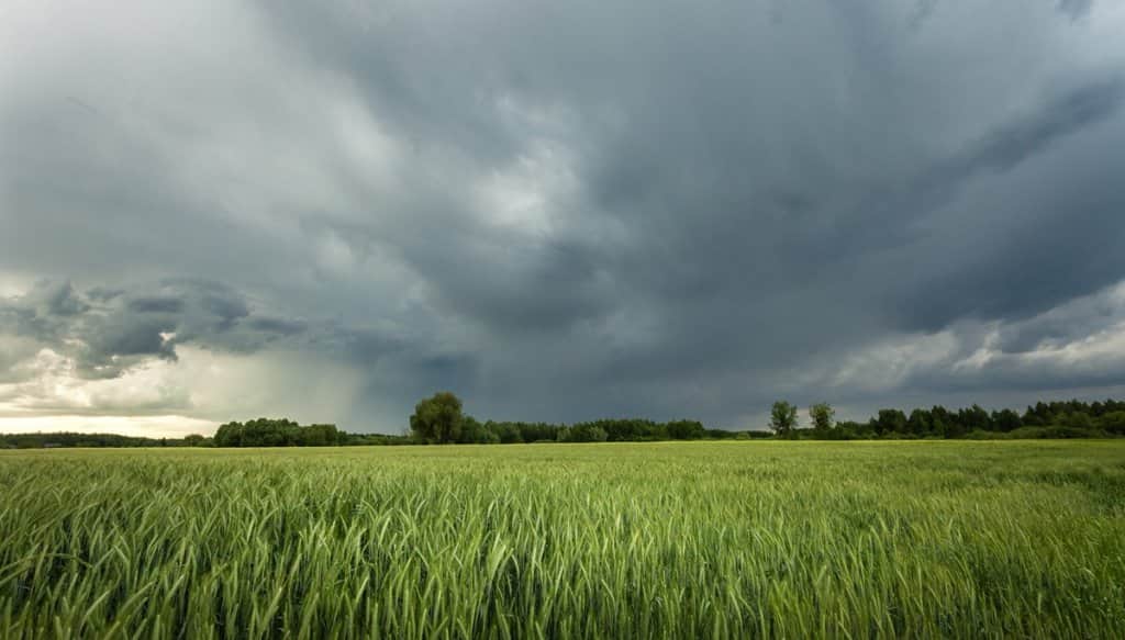 Clima en La Rioja: Nubes el pronóstico para hoy, 27 de agosto