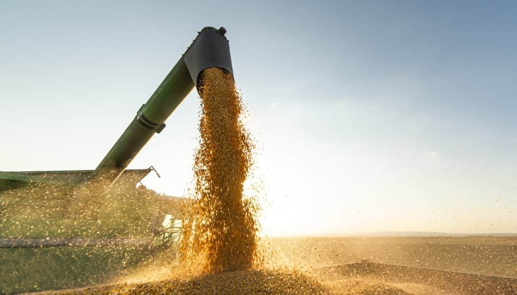 Créditos productivos: cómo financiarse para la siembra gruesa 2026/27