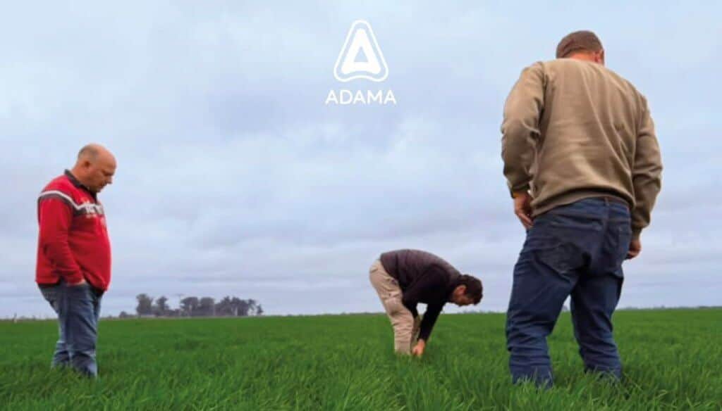 Tres décadas de innovación y cercanía que transforman el campo argentino