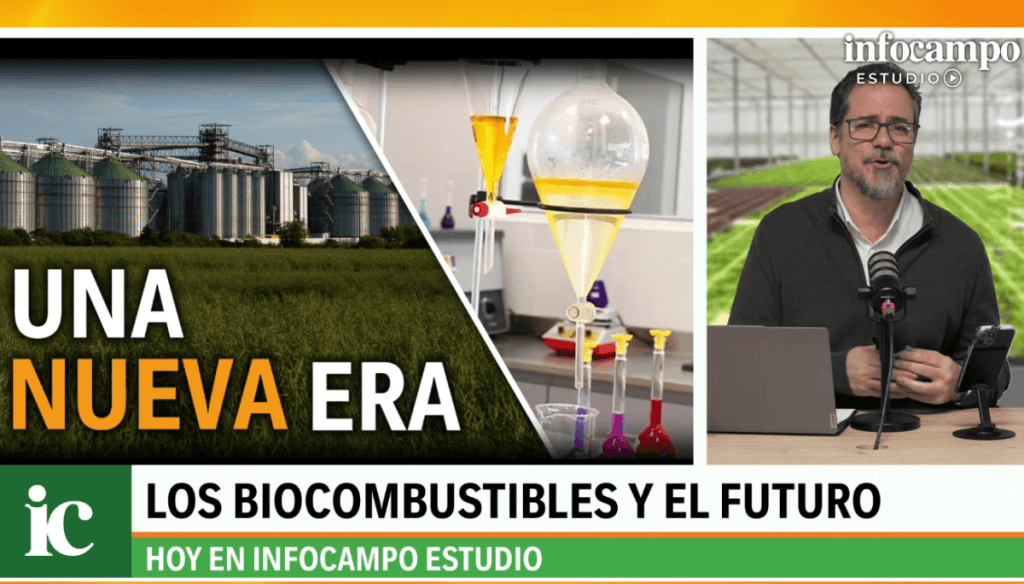 Lo que viene en biocombustibles, más allá de la ley: “La demanda es sostenida y el futuro, promisorio”