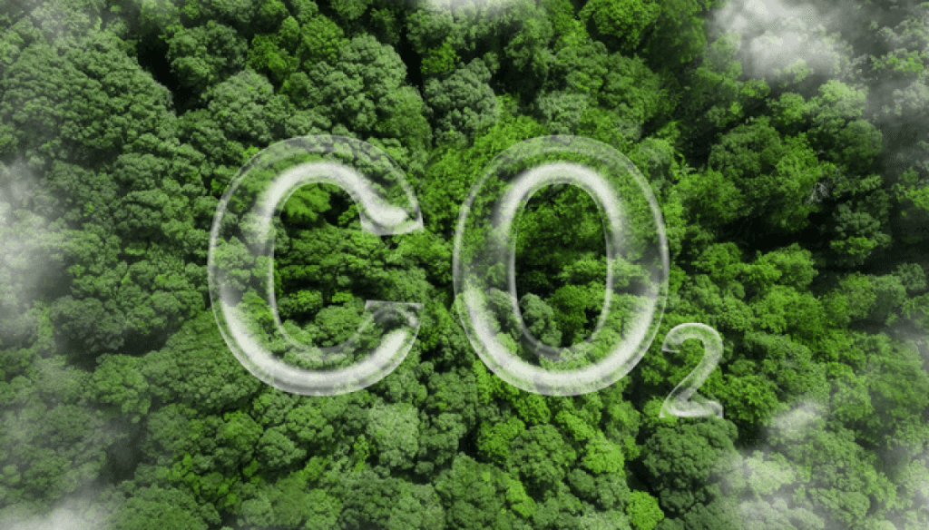 Mercado de carbono: “Decían que era humo, y estamos muy cerca de que ese humo se vuelva dólares”