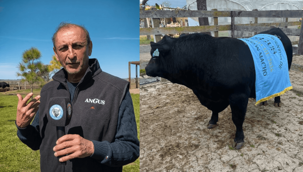 Del fútbol a los toros: Ramón Díaz, campeón como jugador, director técnico y también cabañero