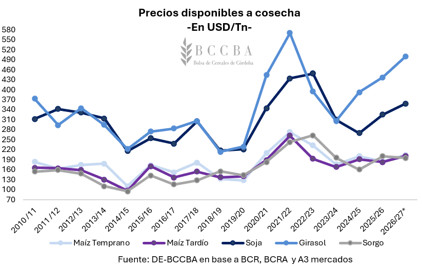 Rentabilidad 2026/27: aunque los alquileres no aflojan, estiman un “escenario positivo para todos los cultivos”