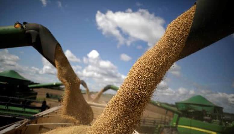 Nuevo récord de exportaciones agroindustriales en los primeros 8 meses del año