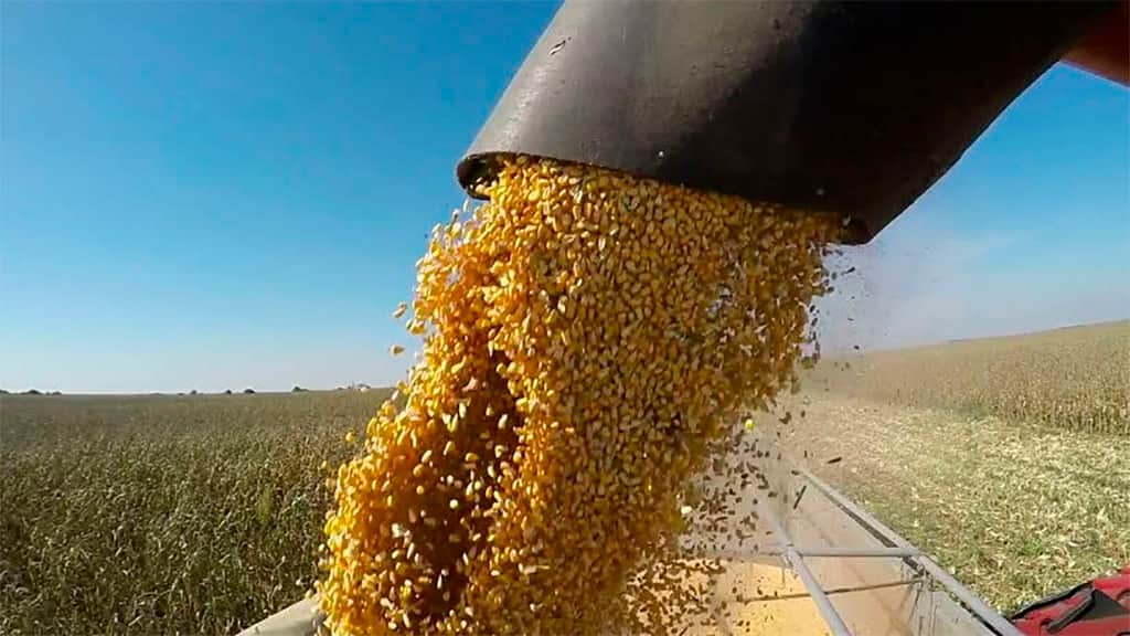 El “aporte” del campo que marcó nuevo récord en agosto