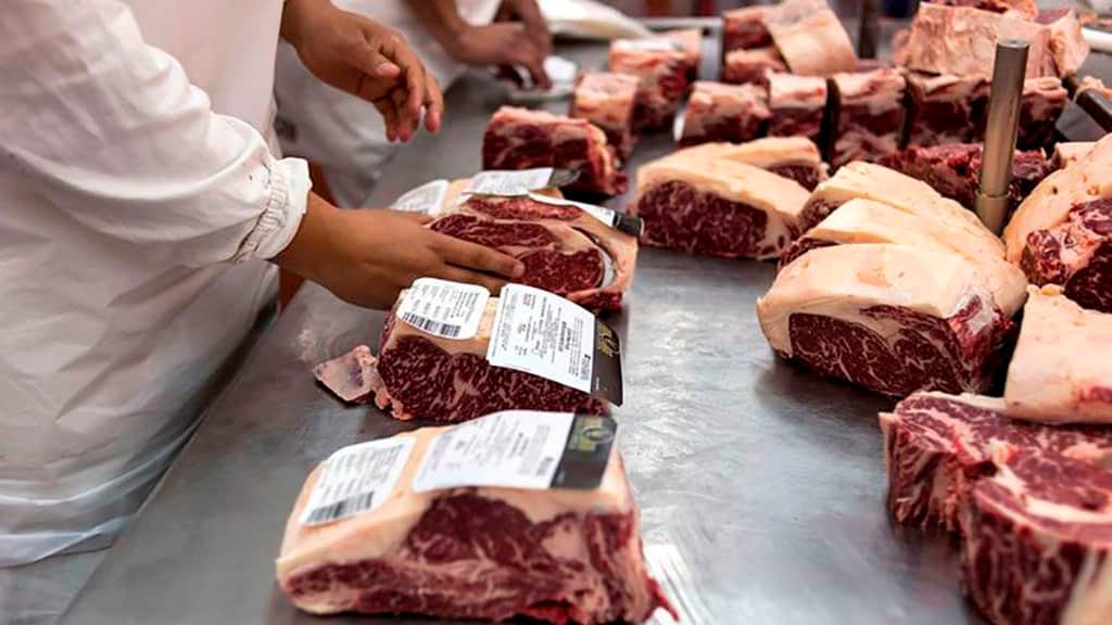 Ventana a china: Una oportunidad de demanda breve pero excepcional para la exportación