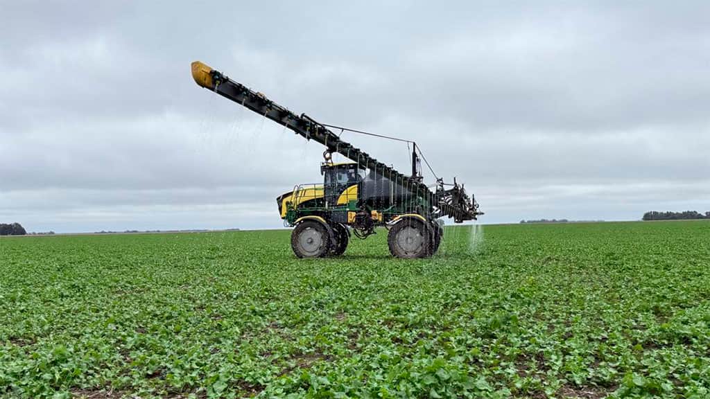 El manejo eficiente del nitrógeno gana relevancia ante escenarios de alta variabilidad climática asociada al fenómeno de “El Niño”