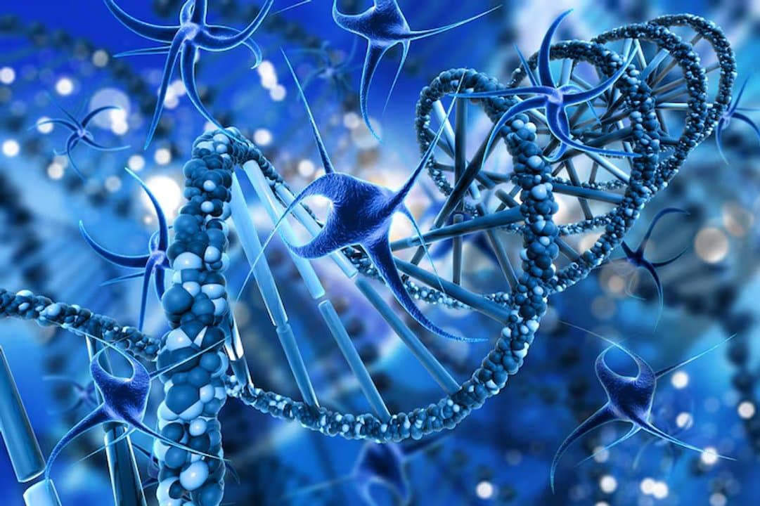 La odisea diagnóstica pediátrica: familias pasan hasta una década sin saber que sus hijos tienen una genodermatosis