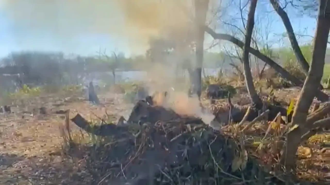 Quemas y desmonte en Isla Santiago: Secco quedó bajo presión por el área protegida