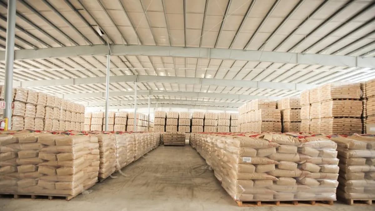 Leche récord: Argentina exportó 20% más lácteos al mundo y el gobierno se entusiasma con un año histórico