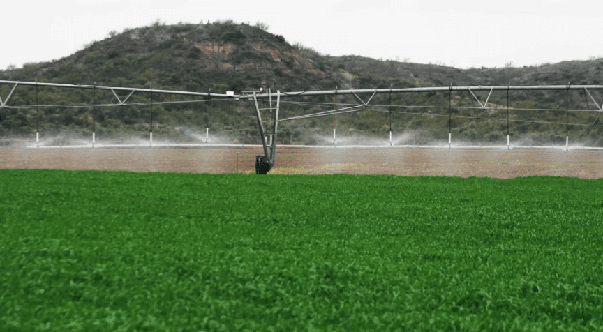 Mientras busca frenar la pérdida de tierras agrícolas, Neuquén proyecta sumar 55 mil hectáreas bajo riego entre Vaca Muerta y el Limay