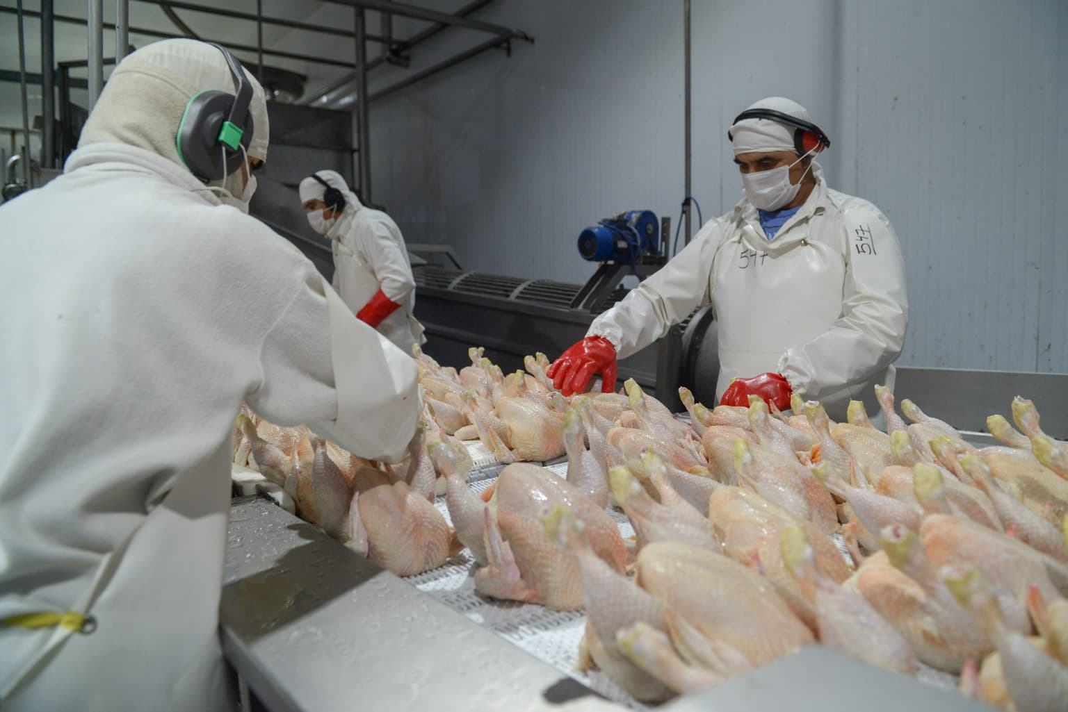¿Cómo se decía pechuga en japonés? El gobierno nipón reabrió su mercado para la carne aviar argentina