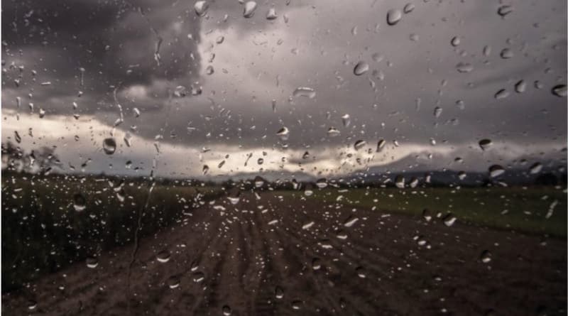 Súper Niño: la Nación informó cómo prepararse y qué tener en cuenta ante un posible aumento de lluvias
